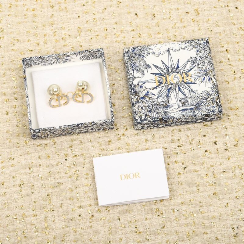 Christian Dior Earrings